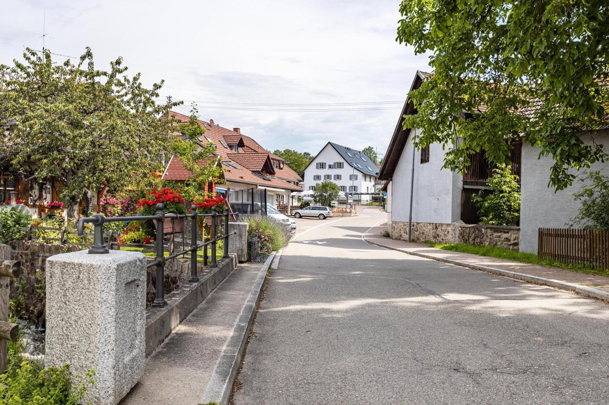 Ferienhaus Muelhaupt Villa Ühlingen-Birkendorf Exterior photo